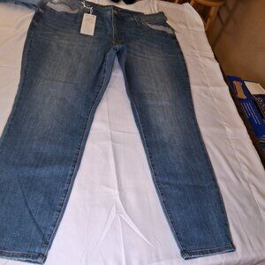 Greenwich high rise skinny SEVEN7 Plus Size 20W NWT $79